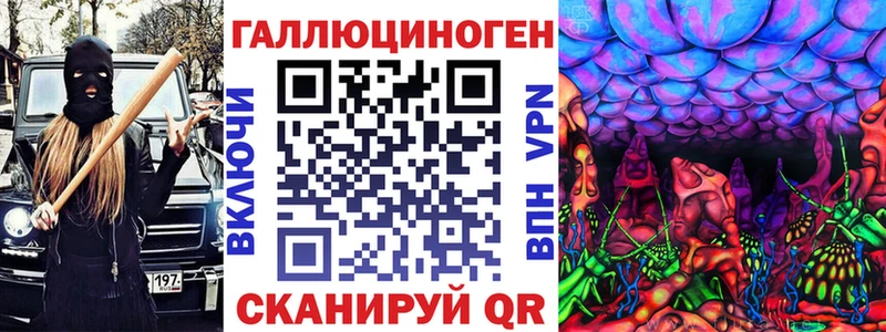 hydra ONION  Грязовец  Псилоцибиновые грибы Cubensis 